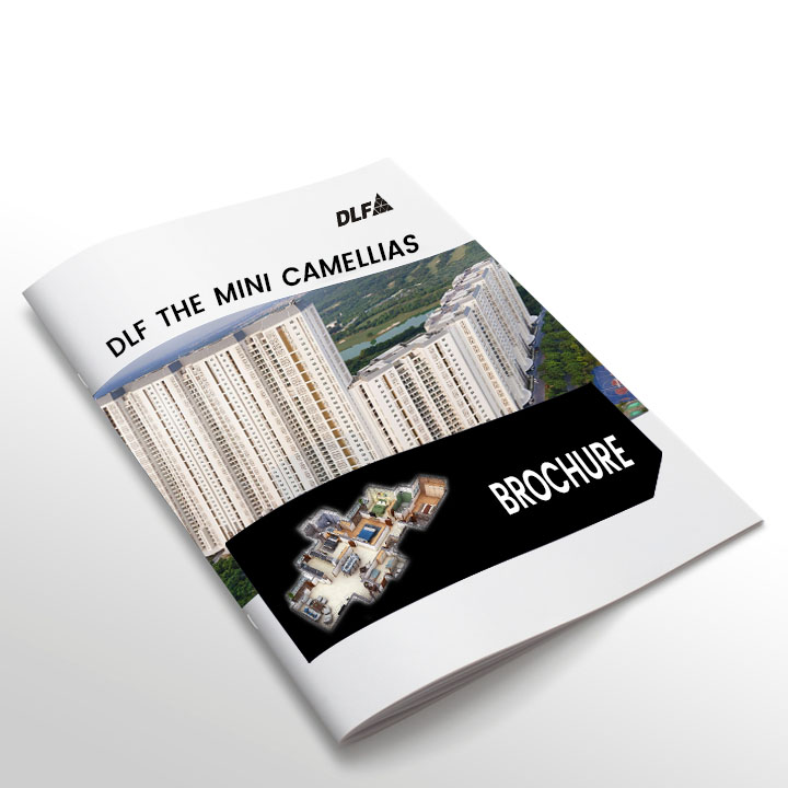 dlf mini camellias brochure